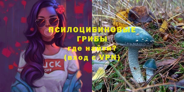 крисы Абинск