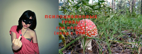крисы Абинск