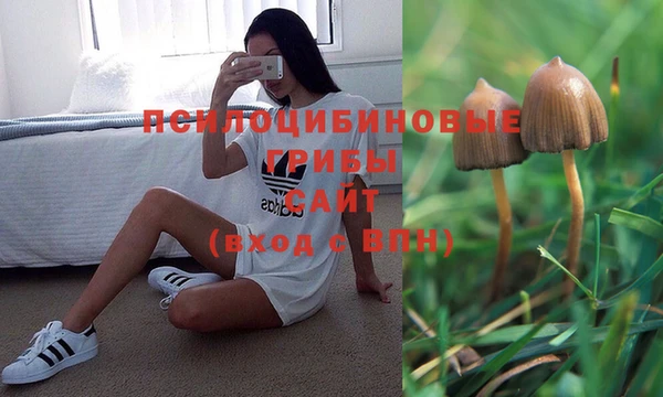 ГАЛЛЮЦИНОГЕННЫЕ ГРИБЫ Абдулино