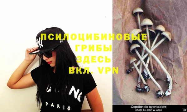 крисы Абинск